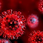 Stampede at The Complex Undermines Efforts to Curtail the Spread of Coronavirus