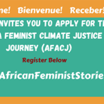 Call for Applications: African Feminist Academy for Climate Justice 2022